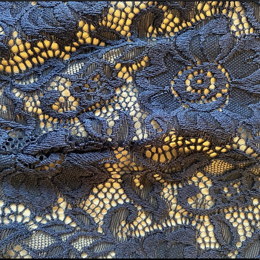 Navy blue homeyee fit and flare lace over lace dress